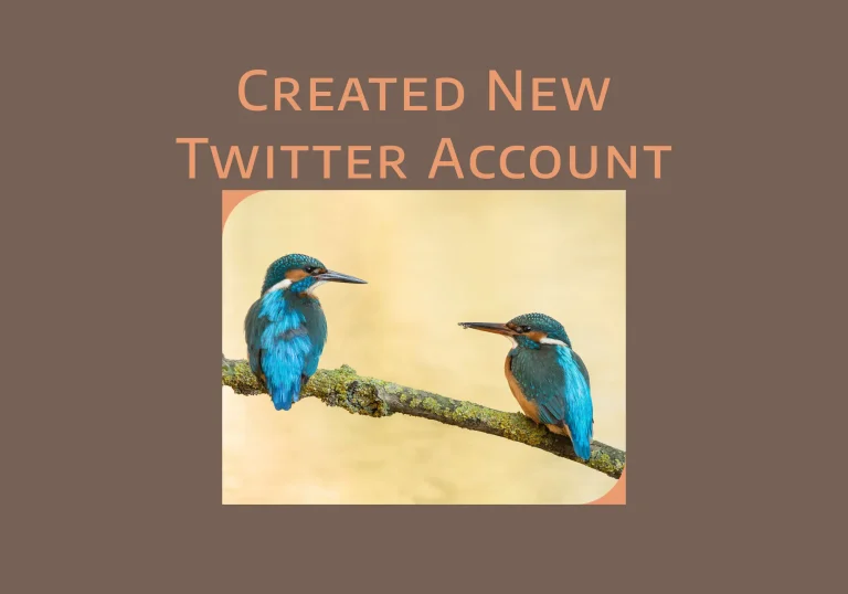 created twitter account
